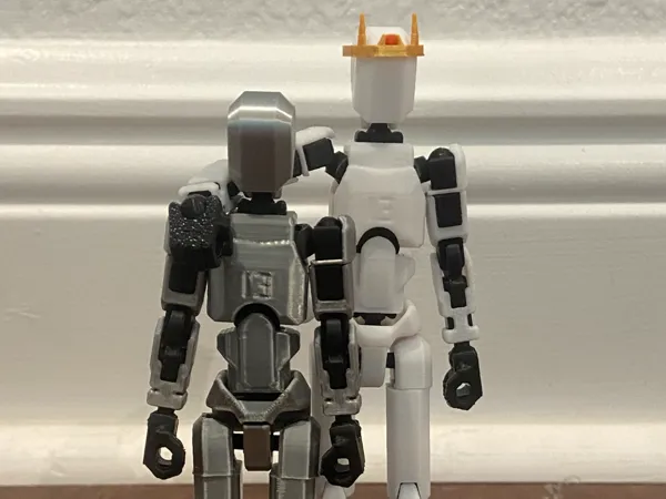 https://makerworld.bblmw.com/makerworld/model/US1d89dcef400df1/design/2024-11-03_bbb887f333609.jpg