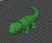 Lizard One Color
