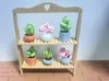 Succulents + Planter