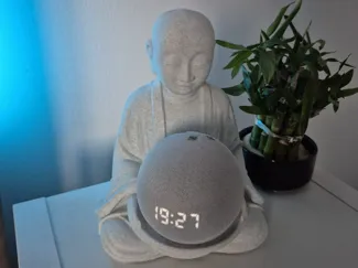 Buddha Echo Stand