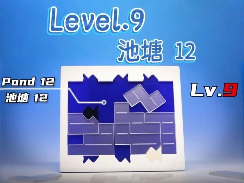 谜题puzzle池塘12（浅香游设计）-Pond 12（Disigned by Yuu Asaka）