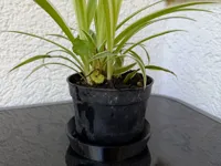 0.2mm layer, 2 walls, 100% infill