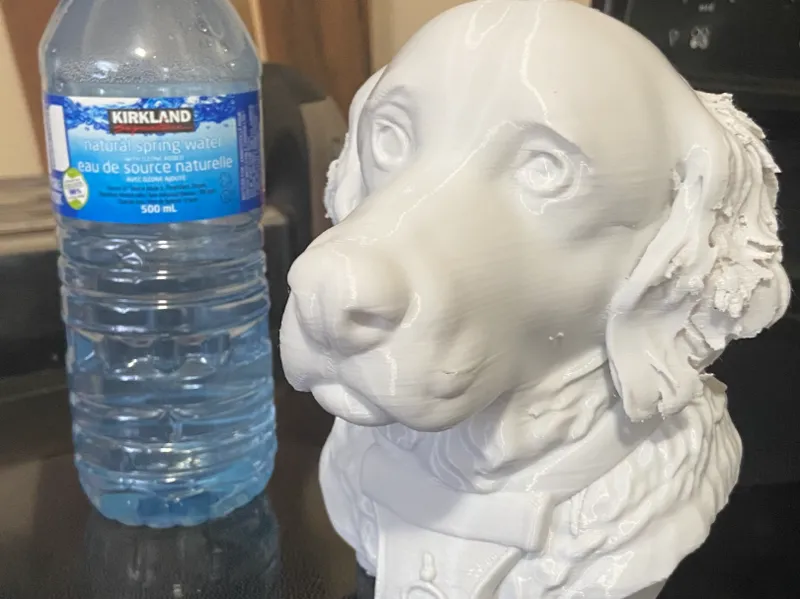 Dog Bust