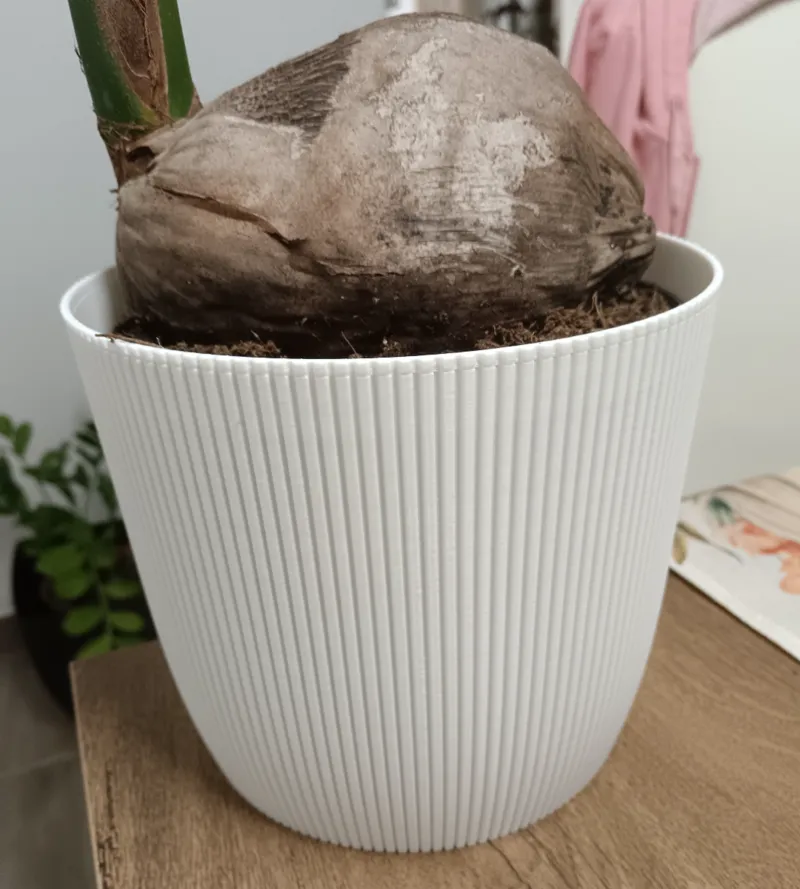 Vase for Ikea Coconut palm