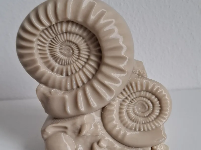 Fossil