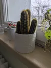 Small Vase Mode. Filament Efficient