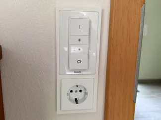 Busch Jaeger Future Linear Frame with Philips Hue