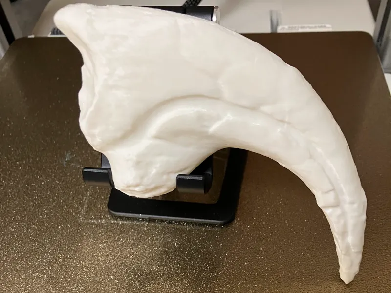 USNM V8257 - Allosaurus Fragilis Claw