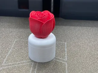 jewelry box - bud