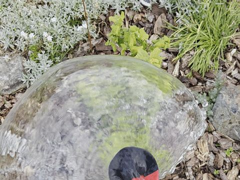 https://makerworld.bblmw.com/makerworld/model/US1db424d600d1dd/design/5470225411ed2b4c.gif