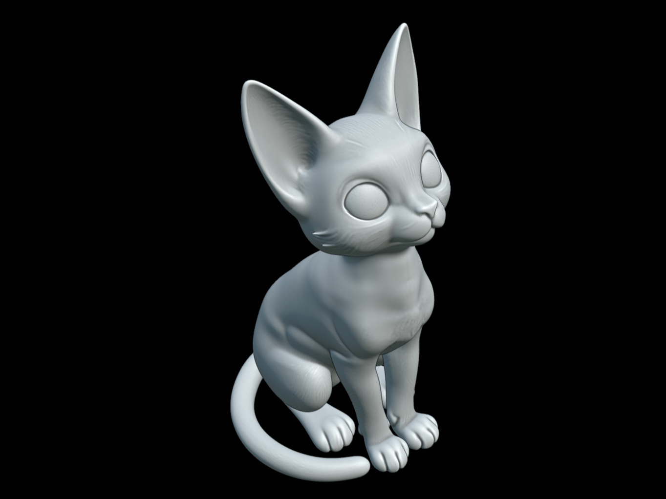 仰望星空的猫