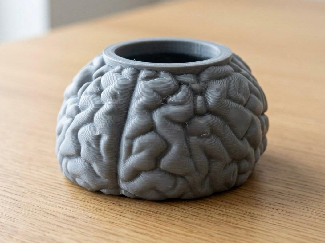 Brain Planter – Anatomical Brain Texture Pot