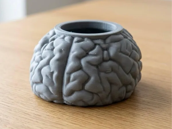 https://makerworld.bblmw.com/makerworld/model/US1dba9c55e6733b/design/88980ac472f1e68c.jpeg