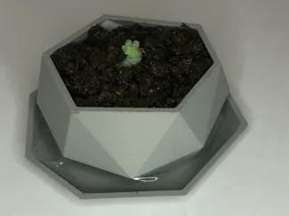 Vaso Moderno Poligonale con Fori e Base