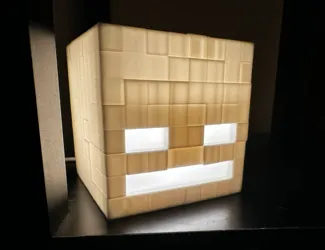 Minecraft Skeleton Lamp