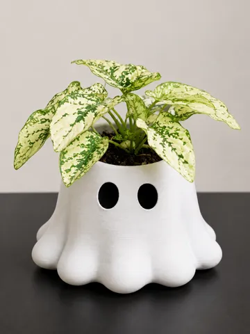 Adorno temático: Ghost Plant Pot — vista de referencia 2
