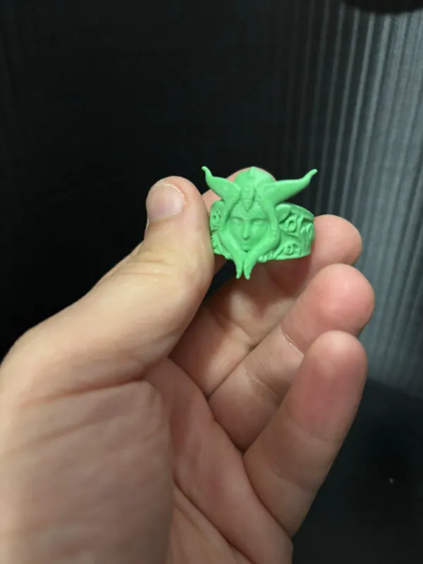 https://makerworld.bblmw.com/makerworld/model/US1dc33891b04f6b/design/2024-12-14_afed09505d7eb.jpg