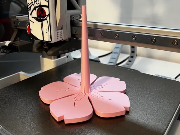 https://makerworld.bblmw.com/makerworld/model/US1dc5e0de7368b/design/2026-01-18_63b1c32bfb602.jpg