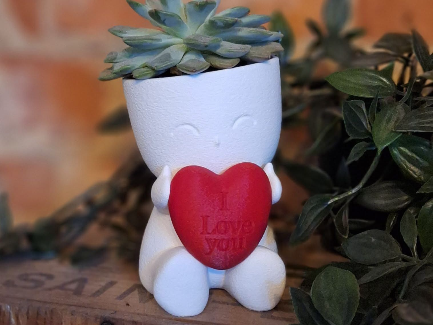 Valentine’s Potty Planter – Heart Succulent 