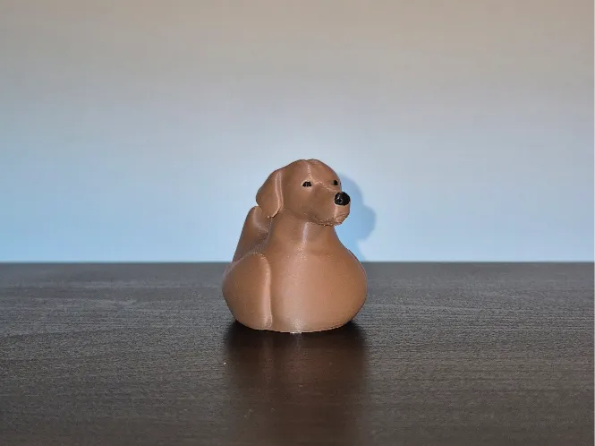 Golden Retriever Duck