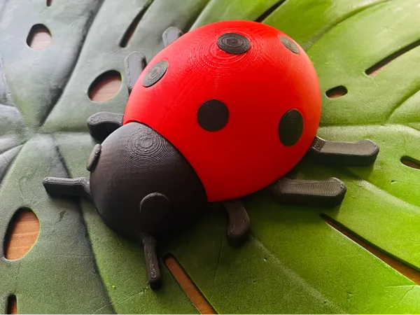https://makerworld.bblmw.com/makerworld/model/US1dcd76db64a193/design/2025-08-28_0da199c8238c4.jpg