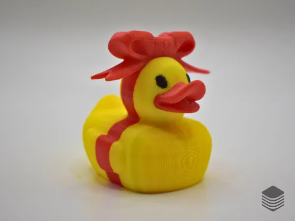 https://makerworld.bblmw.com/makerworld/model/US1dd037e0c30984/design/2025-01-17_3c707aaf2053c.png