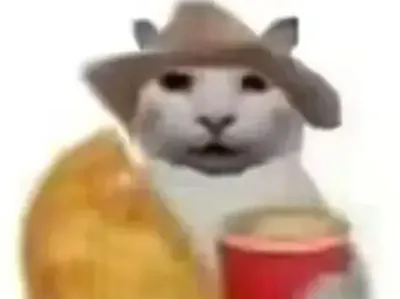 No money, no modeling, just a cat