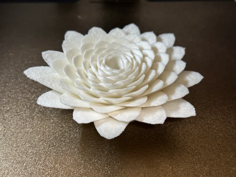 Camellia flower