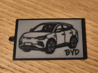 BYD CAR Keychain