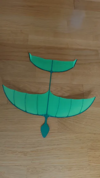 Simple bird glider