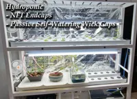 Hydroponic Caps 0.2mm layer, 2 walls, 15% infill
