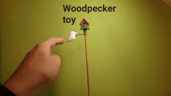 https://makerworld.bblmw.com/makerworld/model/US1dd8fae2048dd4/design/2024-11-12_f69a18f294654.gif
