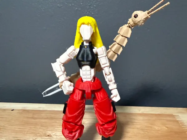 https://makerworld.bblmw.com/makerworld/model/US1dd9aeccf01855/design/ac1b6cf72883519c.jpeg