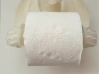 0.2mm layer, 4 walls, 15% infill, brim