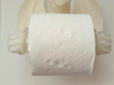 Rolls for "Toilet Paper Dragon"