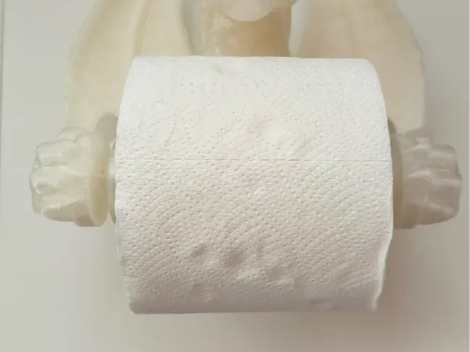 Rolls for "Toilet Paper Dragon"