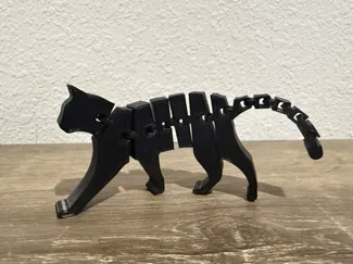 Flexi Cat