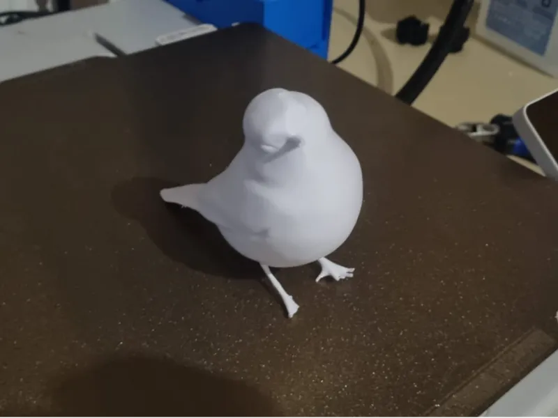 little Bird 