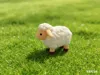 Lamb