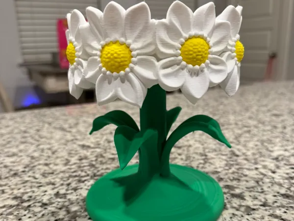 https://makerworld.bblmw.com/makerworld/model/US1ded0bbd13dedd/design/82234502dda2cea3.jpeg
