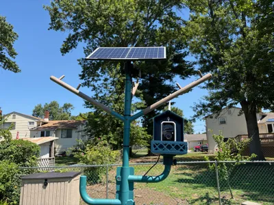 Birdfy Camera Suet Feeder
