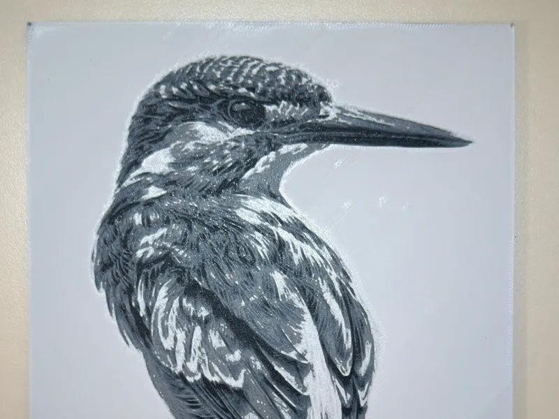 Kingfisher Bird Portrait | Elegant Hueforge Art