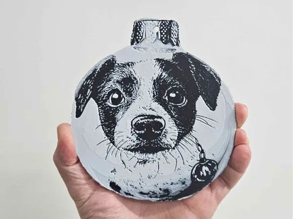 https://makerworld.bblmw.com/makerworld/model/US1df651af9dc528/design/2024-12-05_f583cd014452f.jpg