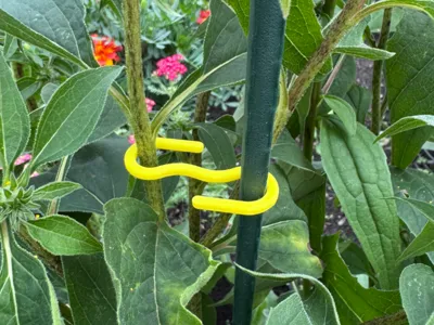 Plant Support Clip