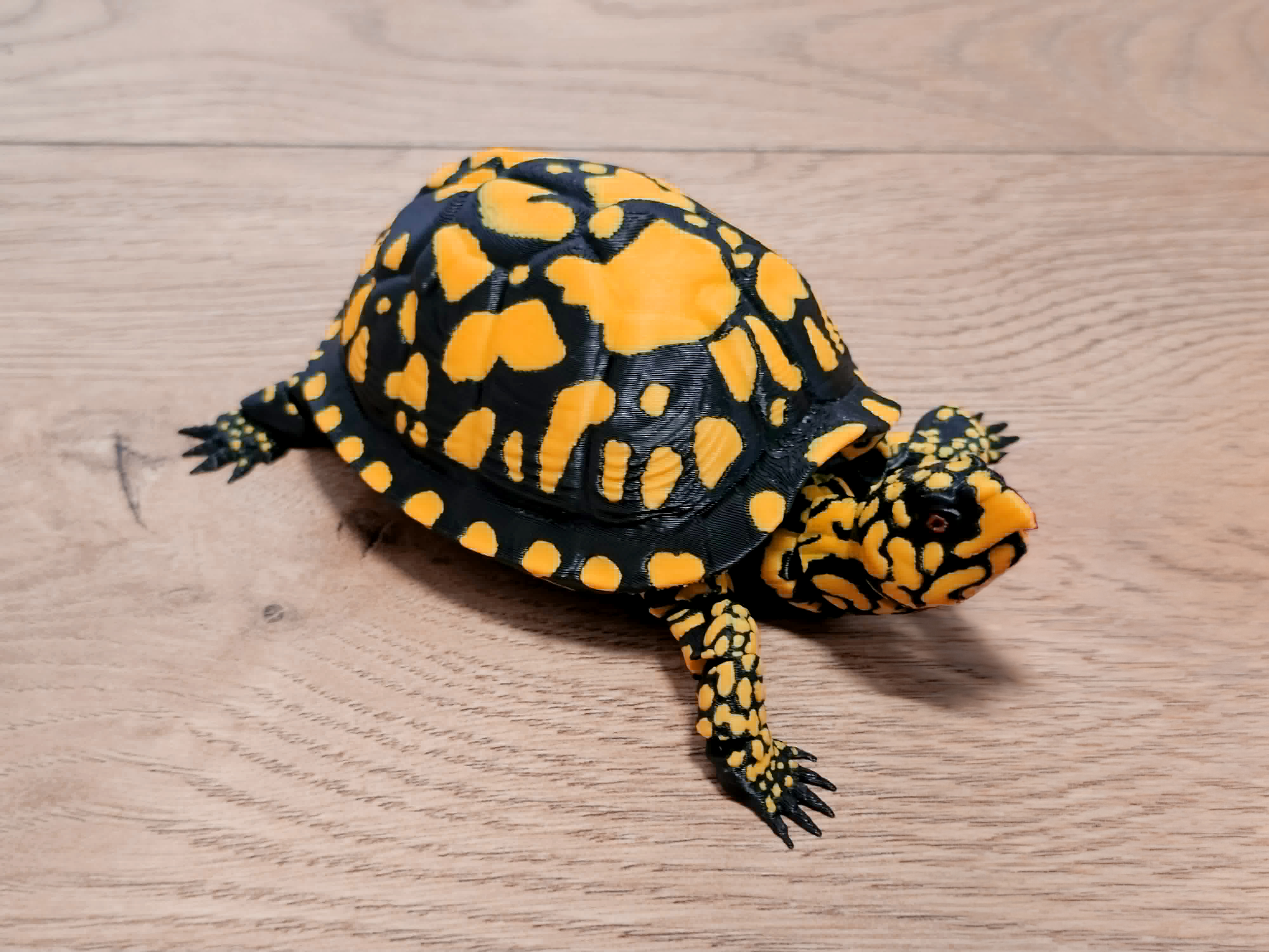 Realistic Flexi Woodland Box Turtle - 1