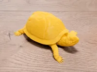 Single color - 0.16mm layer, 2 walls, 4% infill