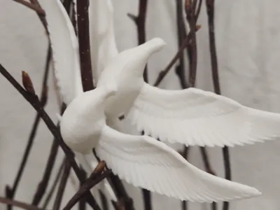 Friendship Doves