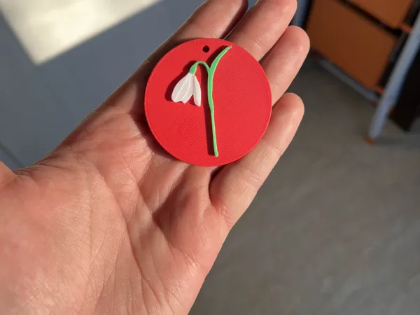 https://makerworld.bblmw.com/makerworld/model/US1dfdf7ef7b92a3/design/2025-02-27_77d8925b13a8c.jpg