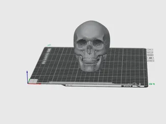 Anatomical Skull – Decorative 3D Printable Model