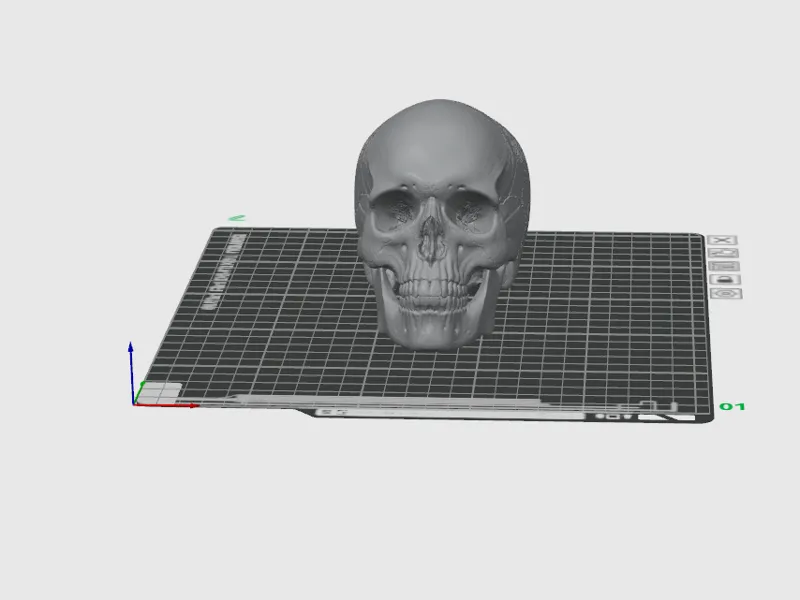 Anatomical Skull – Decorative 3D Printable Model